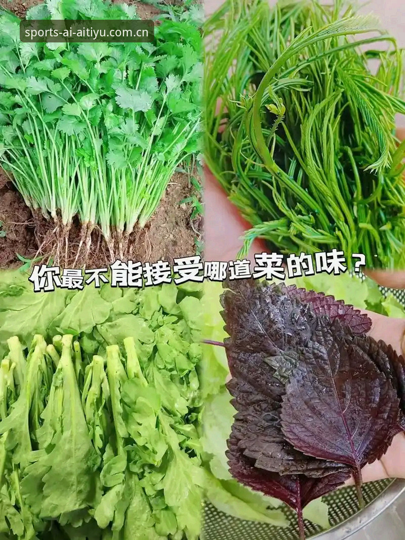 官方版VS网页版：爱体育手机版推荐，哪个才是你的菜？